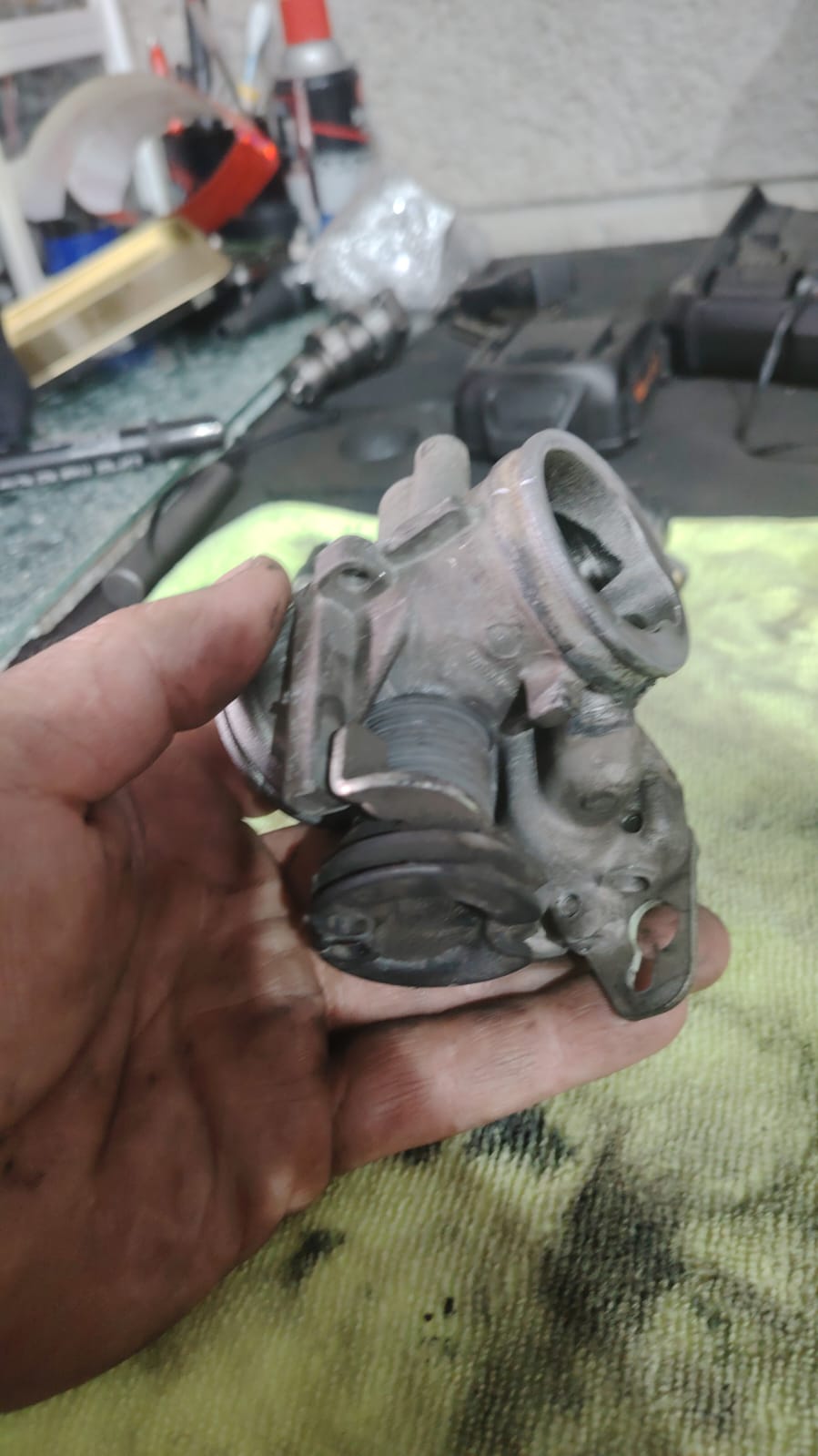 Trabajo 5